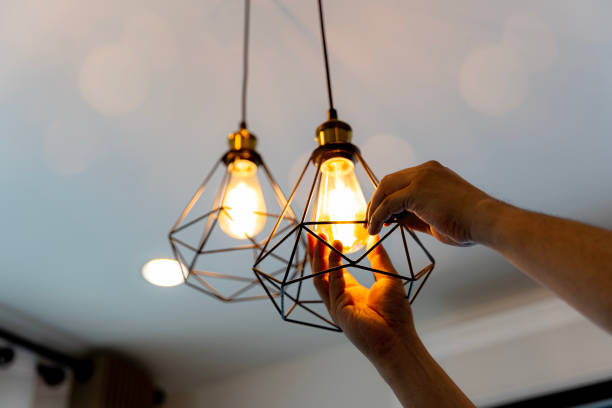 Best Local Electrician Companies  in Wyboo, SC