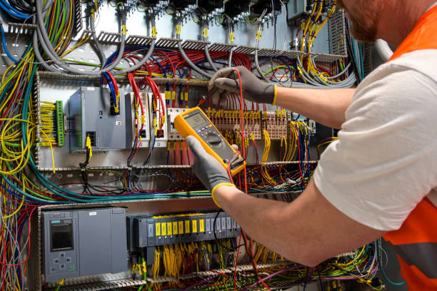 Best Electric Panel Repair  in Wyboo, SC